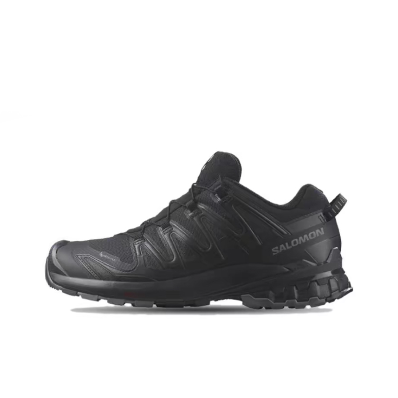Salomon XA Pro 3D V9 GTX: Sepa - Salomon Shoes Xa Pro 3D ulasan dan harga